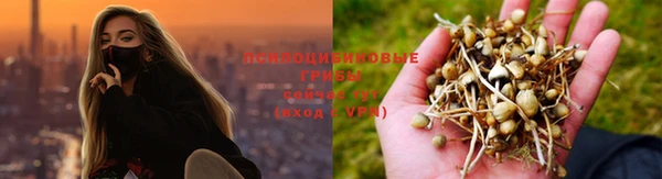 Альфа ПВП Алексеевка