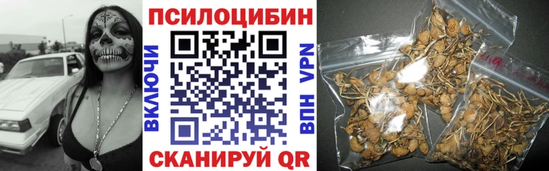 Галлюциногенные грибы GOLDEN TEACHER  Ковылкино 